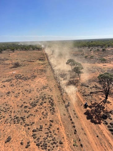 Goats mustered near Bollon, QLD. Video: DustDevil Helicopters.