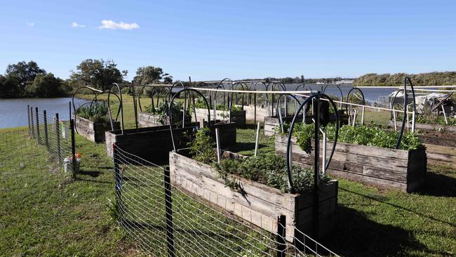 They may then tend the vegetable garden and chicken coop as part of their daily chores. Picture: David Swift