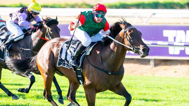 Perth star Amelia’s Jewel has been nominated for the Group 1 Makybe Diva Stakes at Flemington but is likely to tackle the Group 2 Let’s Elope Stakes against her own sex. Picture: WA Racepix.