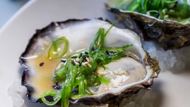 Oysters from The Fish Emporium in Surfers Paradise.