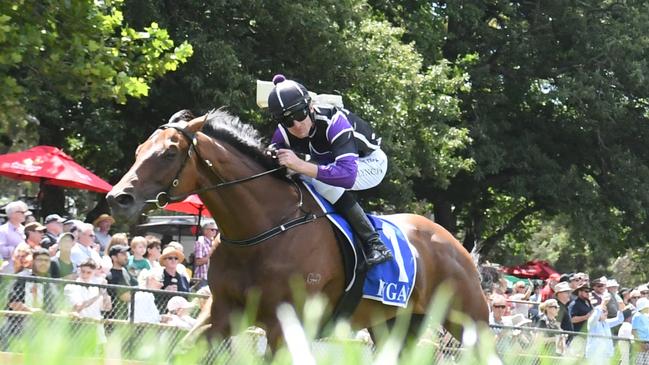 Iconic Hanging Rock Cup back on Australia Day. Picture: Ross Holburt/Racing Photos via Getty Images.