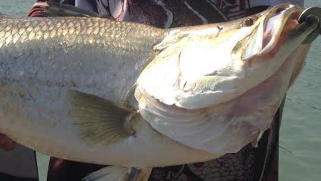 Brad Cameron with a 90cm barra caught on the Roper River.