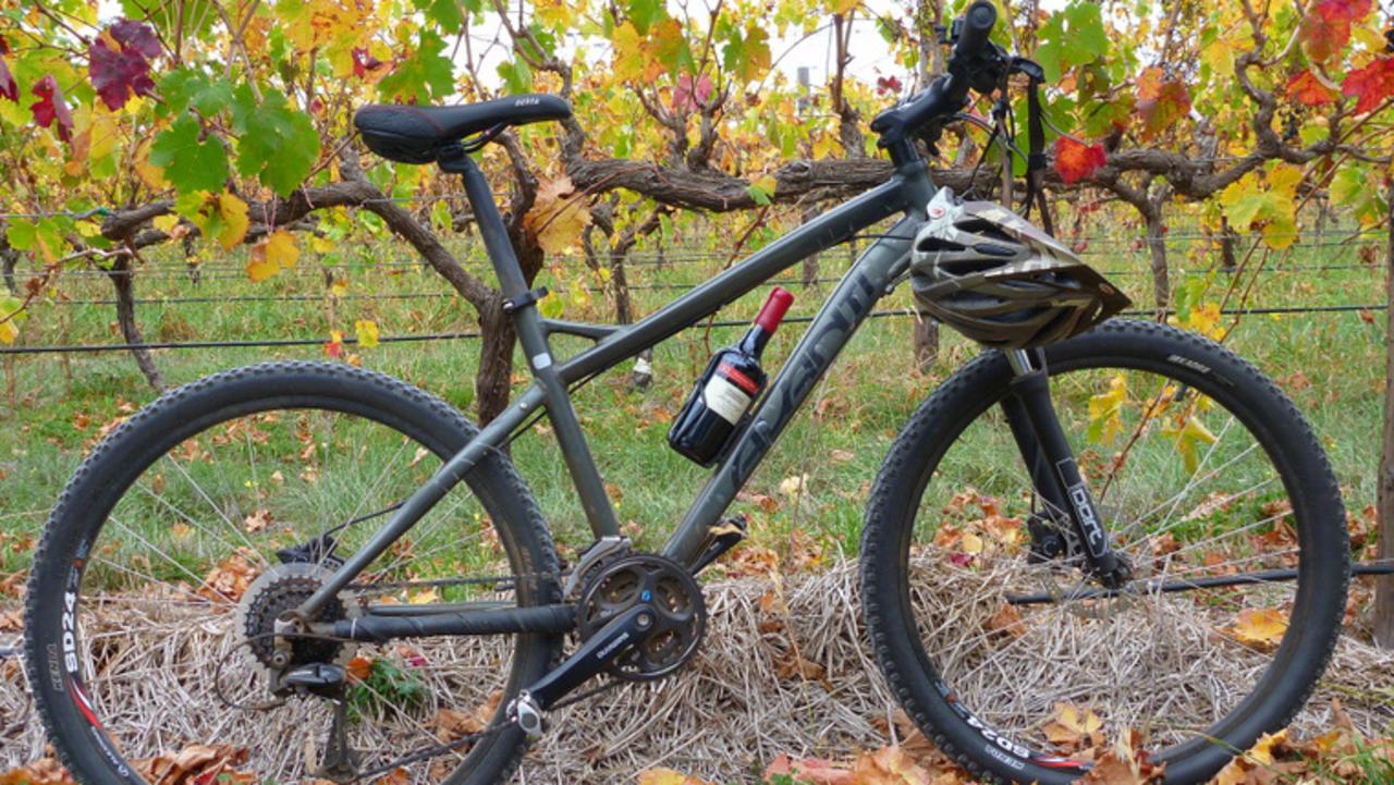 Explore McLaren Vale by bicycle with this wine and bike tour. Picture: Supplied