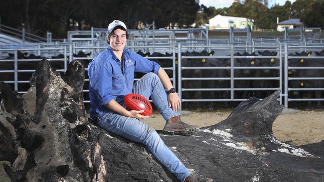 Fogarty is doing long days working on the farm and training at the same time. Picture: Sarah Reed.
