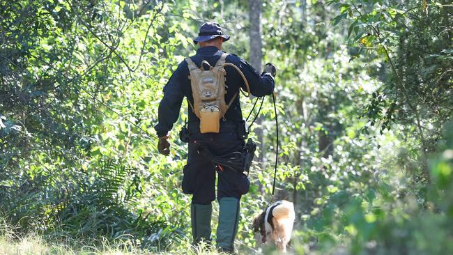 Police with a dog and SES conduct a search in Good Night Scrub National Park looking for the missing 17 year old Pheobe Bishop. Picture: NewsWire / Adam Head