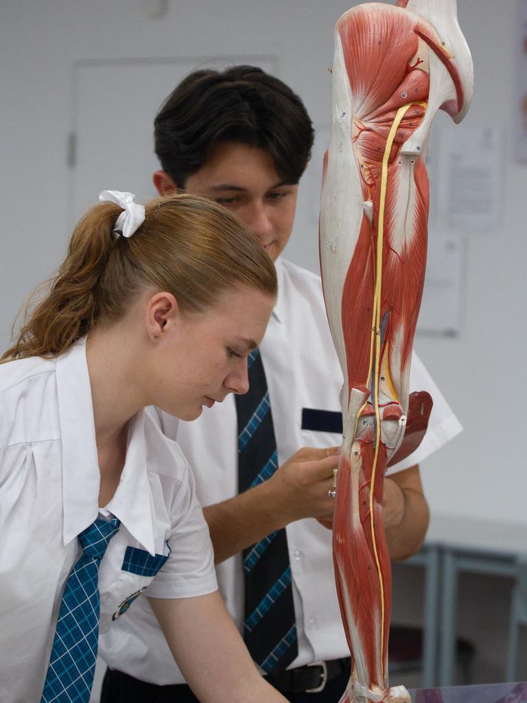 Students worked from models and documents to rebuild anatomy models.