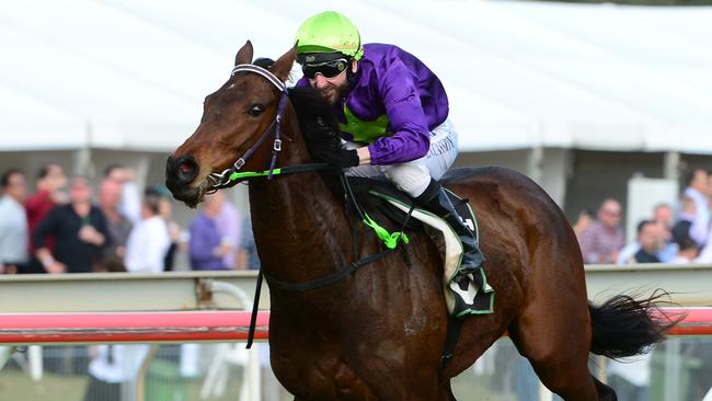Larry Cassidy produced a superb ride on War Baby at Ipswich. Picture: Trackside Photography