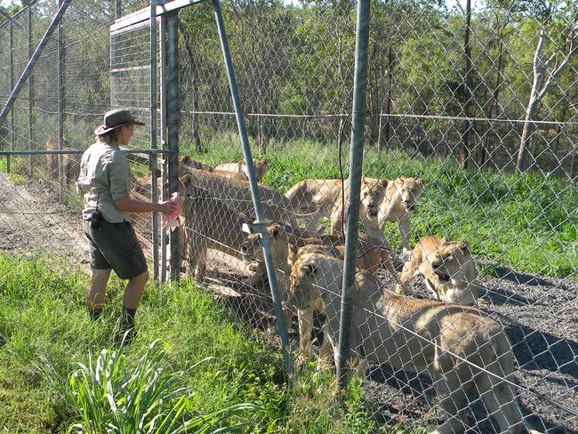 Jen Brown says she has no recollection of the incident with the two lions. Picture: Supplied