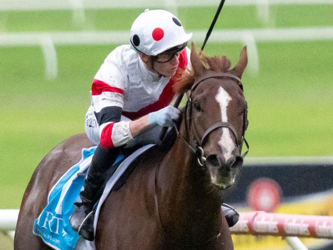 Pinstriped ridden by Ben Allen wins the IRT VOBIS Gold Mile at Ladbrokes Park Lakeside Racecourse on April 15, 2023 in Springvale, Australia. (Photo by Jay Town/Racing Photos via Getty Images)