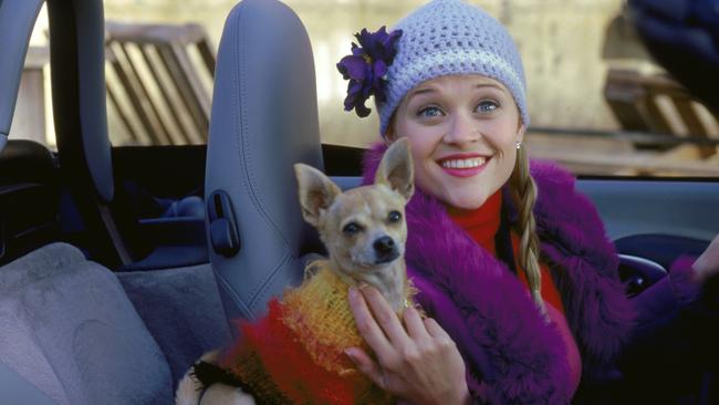 What’s next for Elle Woods?