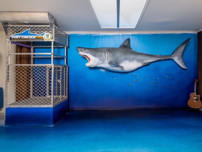 Shark-themed holiday accommodation with a cool vibe