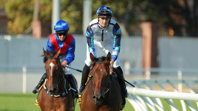 Dylan Gibbons and Explosive Jack return to the winner’s stall. Picture: Jeremy Ng/Getty Images