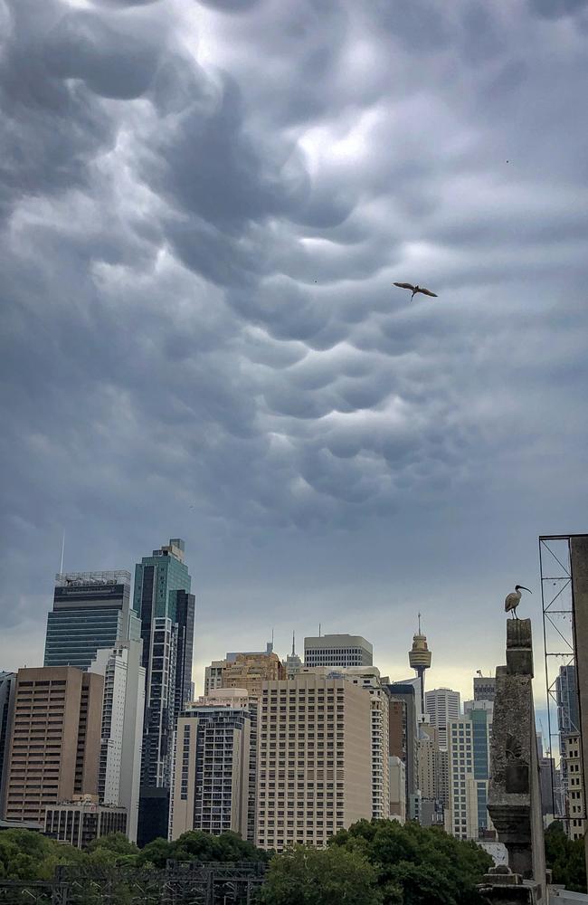 Interesting cloud formations, knows as mammatus clouds, are pictured over the Sydney city skyline. Picture: Nicholas Eagar