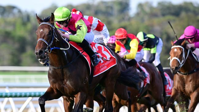 Knight’s Choice will carry the hopes of Queensland on Tuesday. Picture: Grant Peter/Trackside Photography