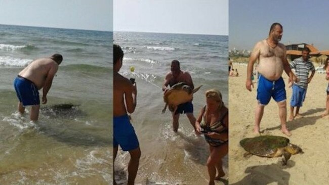 One of the tourists can be seen picking up the turtle and bringing it onto the sand. Picture: Greenarea.me