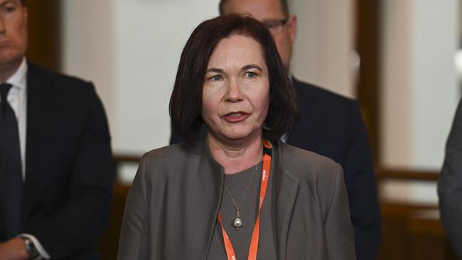 Minerals Council of Australia Chief Executive Officer Tania Constable. Picture: NCA NewsWire / Martin Ollman