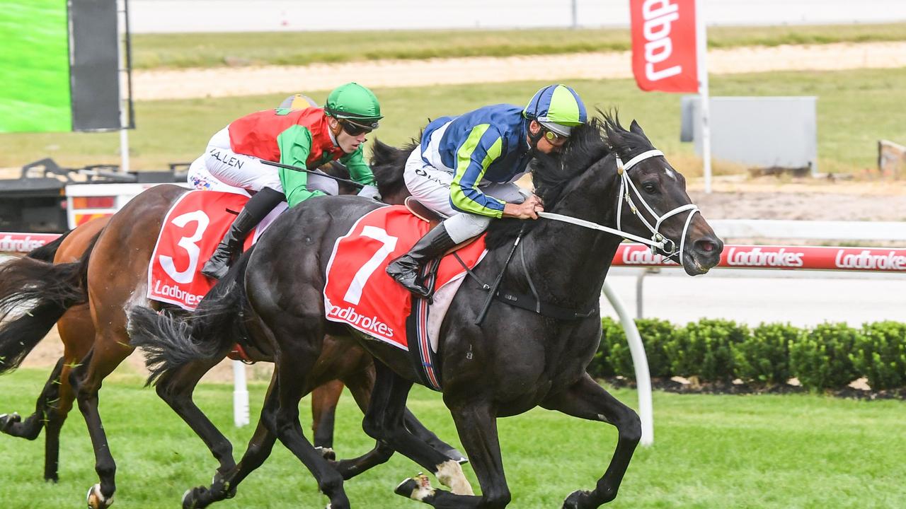 Champion jockey Damien Oliver ambassador for The Archer Carnival | The ...