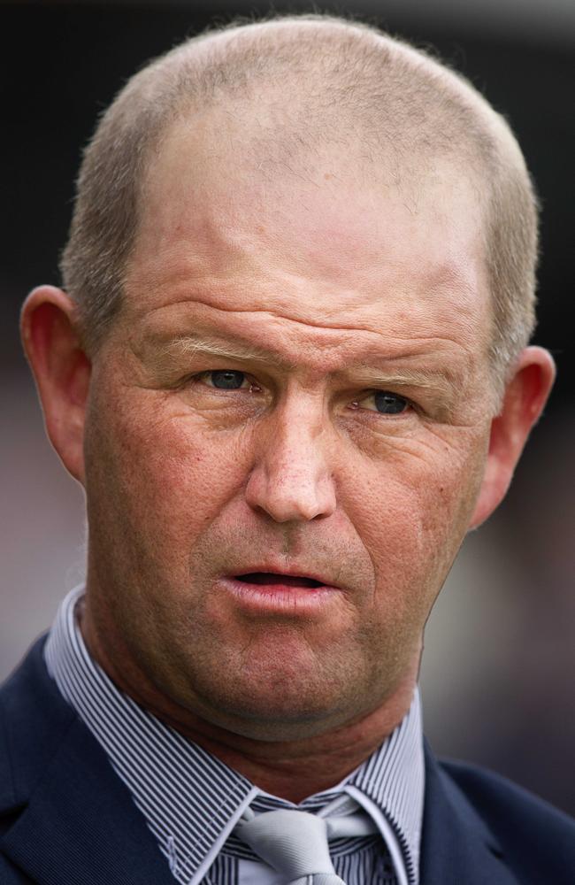 Trainer Chris Heywood says Leucura is the pick of his runners at Corowa