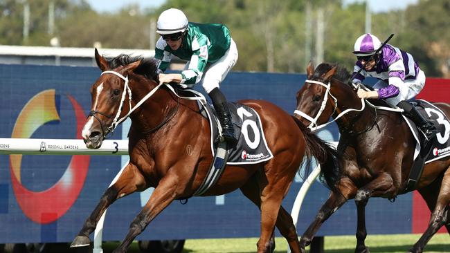 Via Sistina made it back-to-back wins in the Ranvet Stakes at Rosehill. Picture: Getty Images