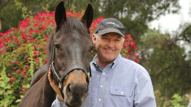 Trainer David Hayes with Loosen Up.