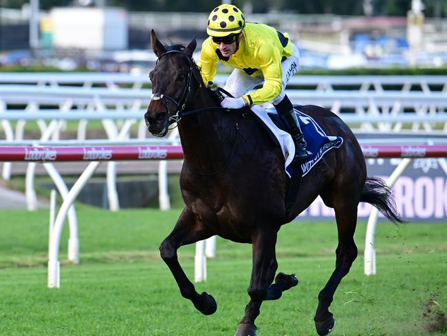 Without A Fight bolts in The Q22 under jockey Mark Zahra at Eagle Farm. Picture: Grant Peters - Trackside Photography.