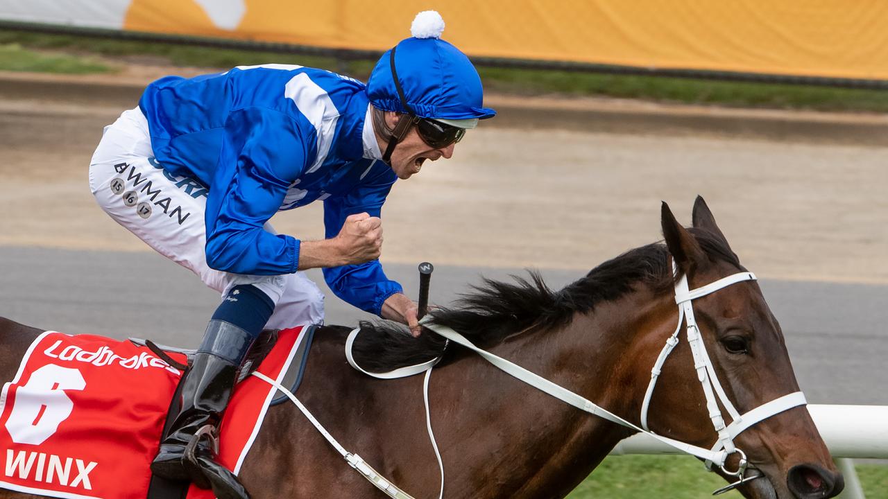 At The Track Plans For Winx Statue At Rosehill Daily Telegraph