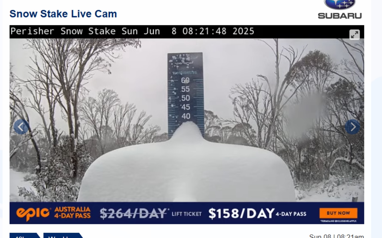 Perisher's snow cam shows huge falls. Picture: Supplied