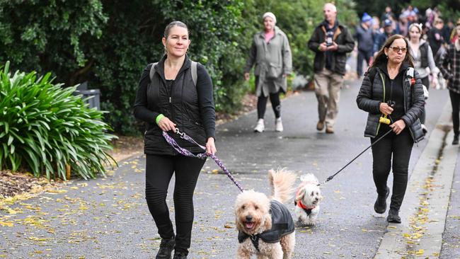 Million Paws Walk at Adelaide Botanic Gardens. Picture: Brenton Edwards