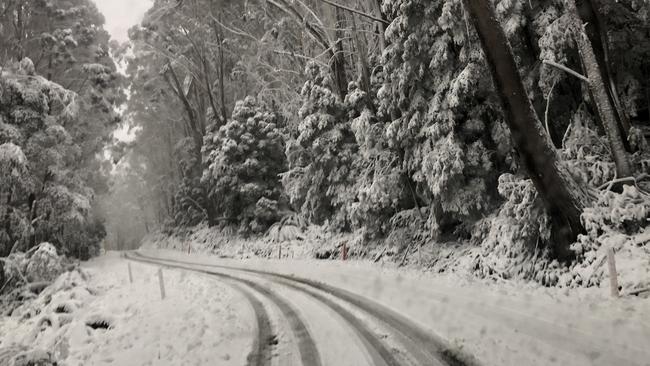 Whiteout: Incredible conditions at Mt Baw Baw. Picture: Mt. Baw Baw Resort