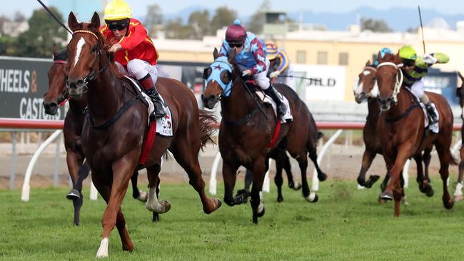 Sneaky Glance wins on the Gold Coast ahead of his Doomben success yesterday.  Photo: Richard Gosling