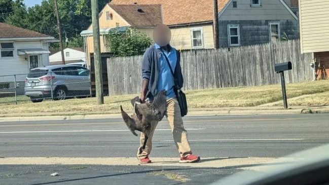 Wildlife authorities said there was no evidence that a man spotted carrying a goose in Ohio was a migrant or had plans to eat the bird. Picture: r/isitmeyourelooking4x