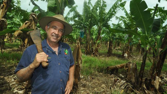 Red Tip banana grower Frank Sciacca says farmers can nurture the environment and make money at the same time Photo: John Andersen.