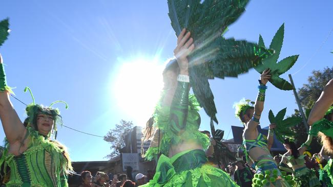 MARDIGRASS: As of 6pm on Saturday May 1, police had conducted more than 400 random drug and alcohol tests at the 2021 MardiGrass festival at Nimbin. Photo: Mark Stapelberg.