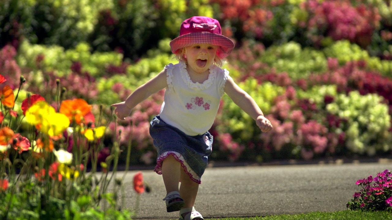 Tahni Davis 2yrs has fun among the flowerbeds in Queens Park. Picture: David Martinelli.