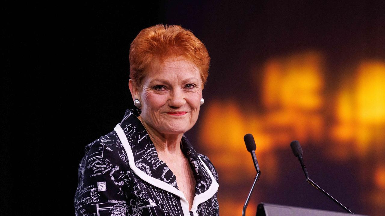 ‘Only the tip of the iceberg’ says Senator Pauline Hanson. Picture: NCA NewsWire / David Swift