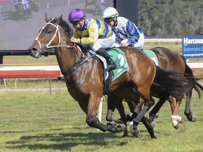 Pressilly is looking to make it three wins in-a-row when she contests the Bede Murray Memorial. Picture: Bradley Photos
