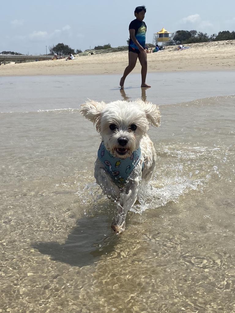 Evie enjoying herself at the beach Picture: Daniel Stock