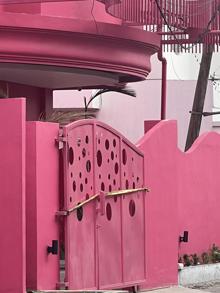 The spa is painted fluorescent pink. Picture: Supplied