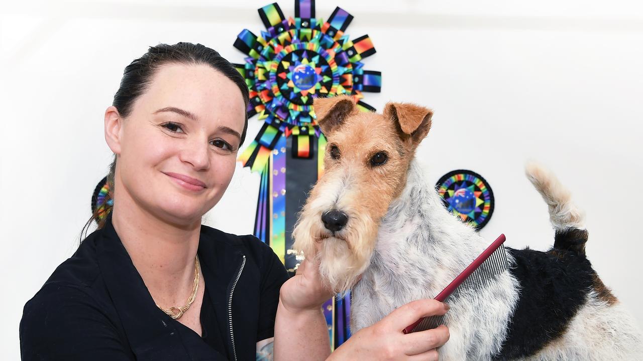 Shayla Knipe and her dog Harper have recently won the Australian dog grooming championships. Photo Patrick Woods / Sunshine Coast Daily.