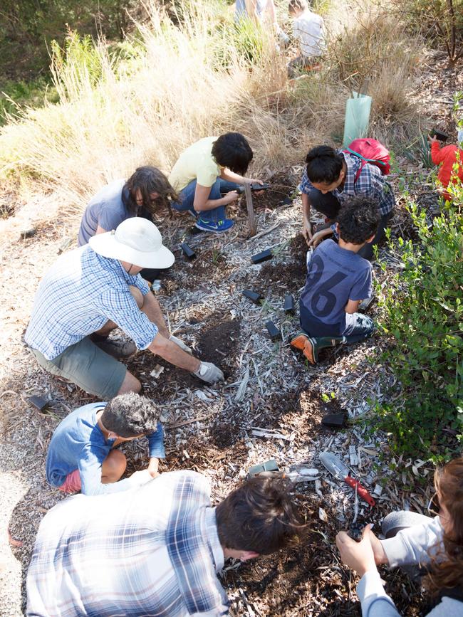 More than 4500 volunteers helped to plant one million trees.