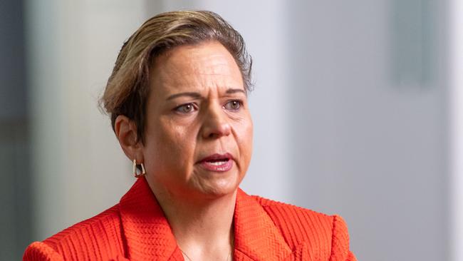 Communications Minister Michelle Rowland. Picture: NCA NewsWire / Gary Ramage