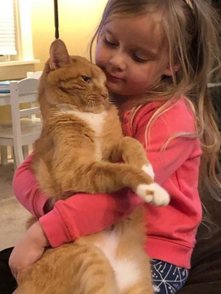 Abby and Bailey had a very special bond, she was his 'person'. Source: Instagram/Bailey No Ordinary Cat