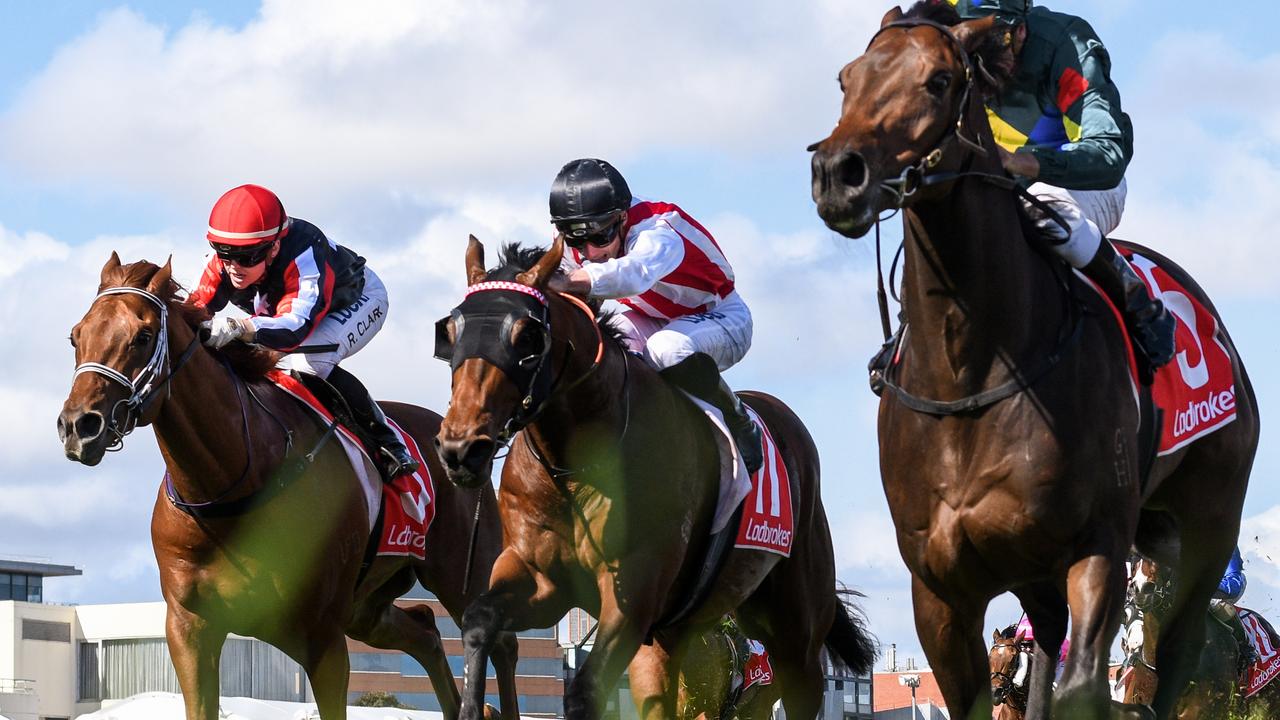 2 3 Million Yearling Groundswell To Return As A Gelding At Caulfield Herald Sun