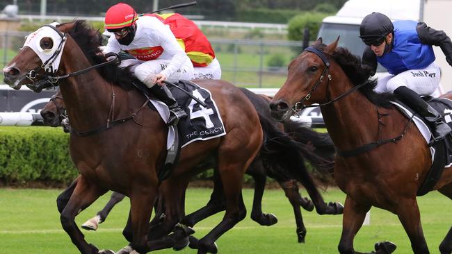 Law Party (black cap) can go one better than his debut second to Major Artie when he heads to Warwick Farm on Wednesday. Picture: Grant Guy