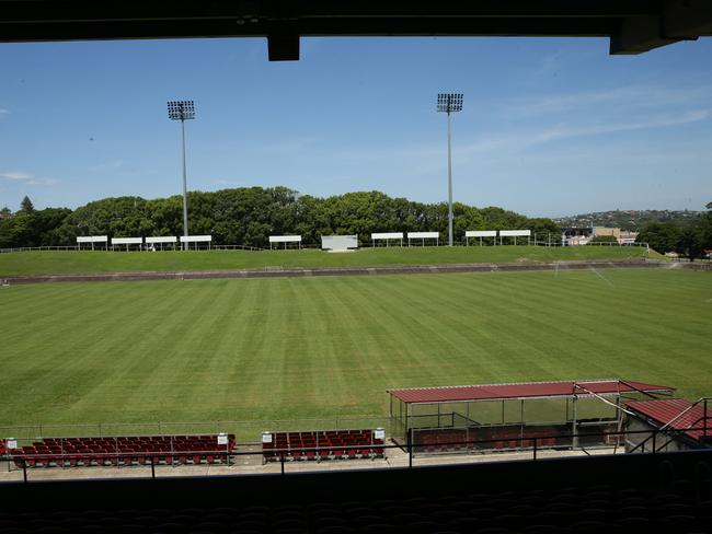 The incident occurred at Brookvale Oval.