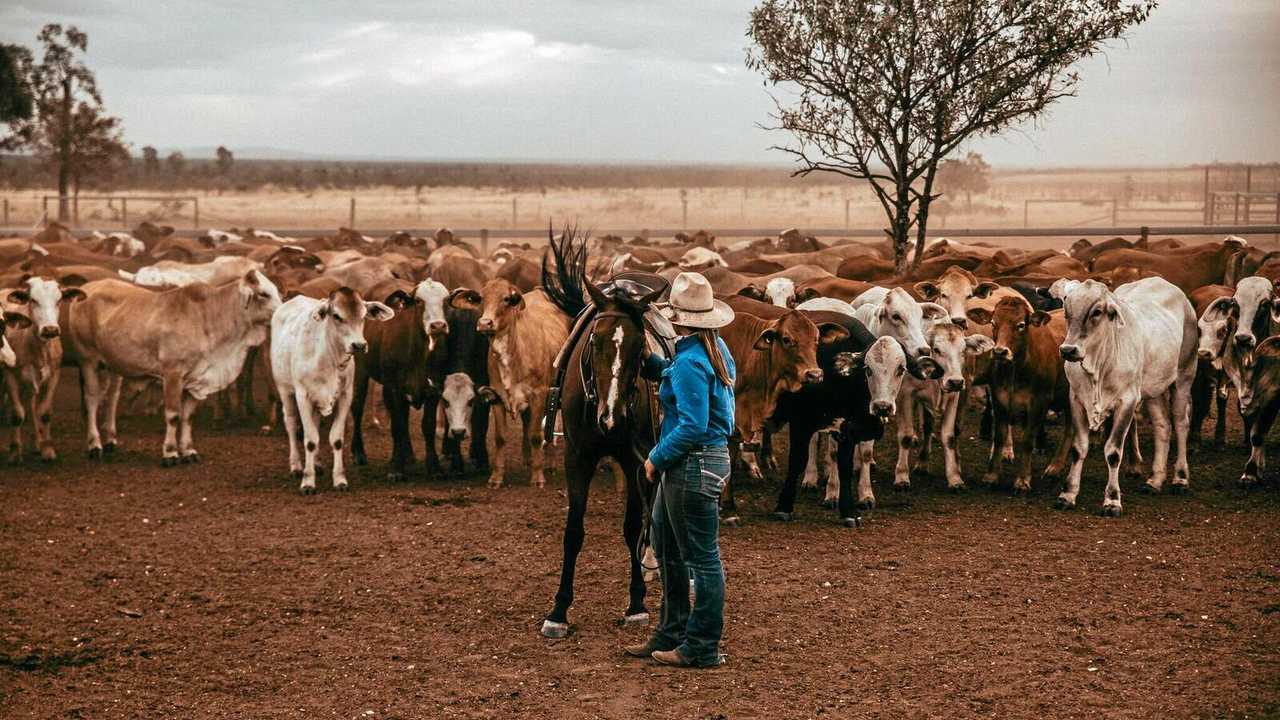 THE END: Despite efforts from industry, the state government will move forward on closing Queensland's Ag Colleges. Picture: Nita Siggins