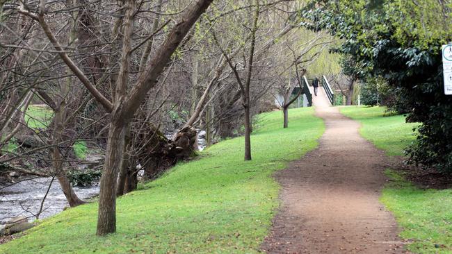 The Hobart Rivulet track