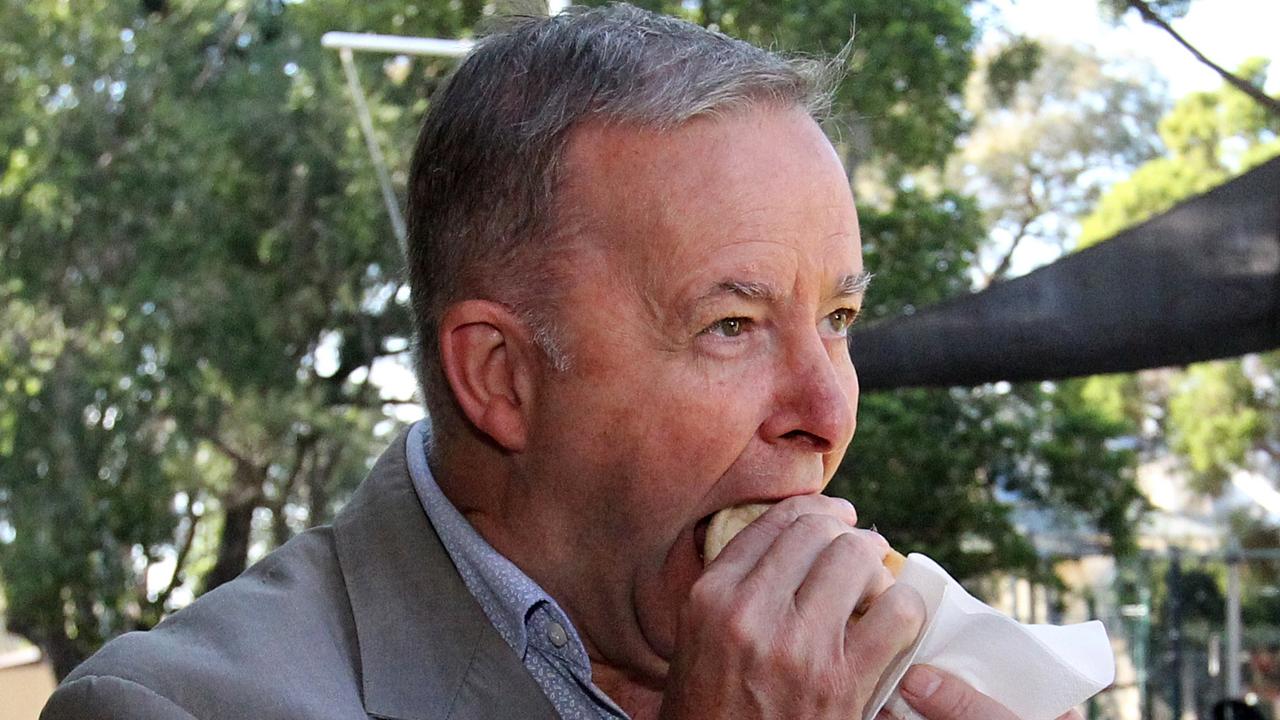 Anthony Albanese is popular and has a strong profile, making him a safe pick for leader. Picture: AAP