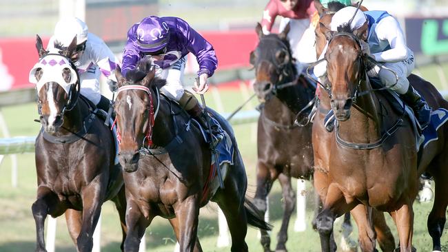 Rudy (outside) and Jumbo Prince dead-heat the sixth at Doomben. Picture: Jono Searle