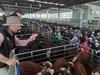 for northern producers with feed